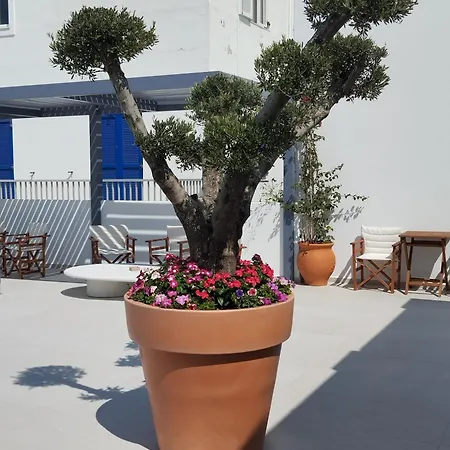Meridiano Hotel Parikia (Paros)